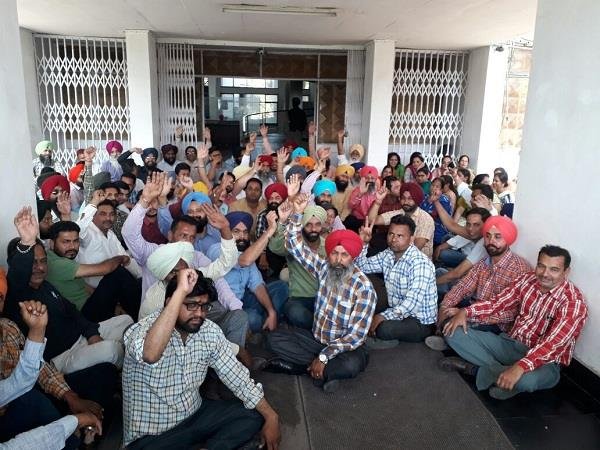 यूनिवर्सिटी के कर्मचारियों ने वी.सी. दफ्तर आगे धरना देकर नारेबाजी की