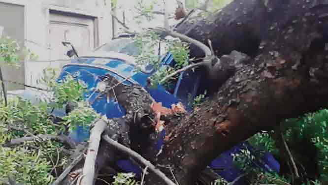 पटियाला : 78 किमी प्रति घंटे की रफ्तार से चली आंधी