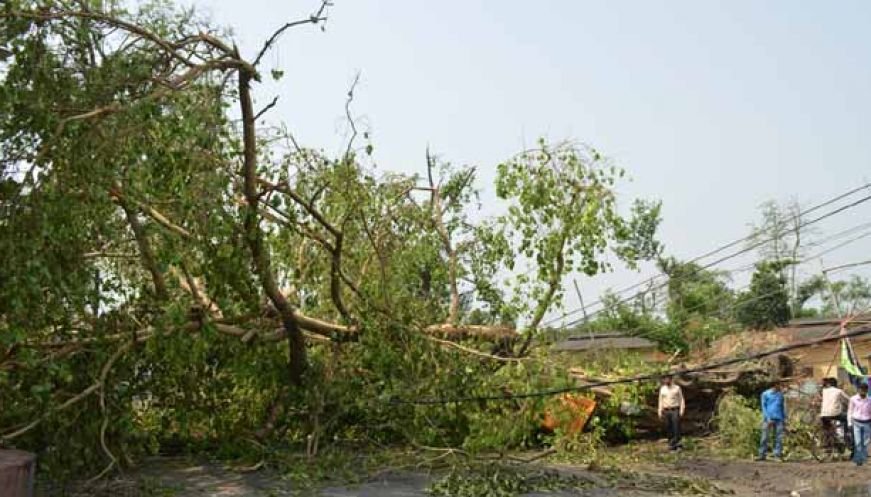 बुंदेलखंड : तूफान, बारिश और ओला से भारी नुकसान