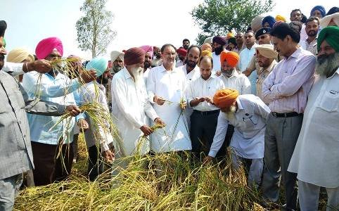 ਵਿਧਾਇਕ ਜਲਾਲਪੁਰ ਤੇ ਡਿਪਟੀ ਕਮਿਸ਼ਨਰ ਵੱਲੋਂ ਗੜ੍ਹੇਮਾਰੀ ਕਰਕੇ ਨੁਕਸਾਨੀਆਂ ਫ਼ਸਲਾਂ ਦਾ ਜਾਇਜ਼ਾ