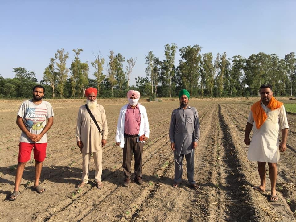 ਫਸਲੀ ਵਿਭਿੰਨਤਾ: ਖੇਤੀਬਾੜੀ ਵਿਭਾਗ ਦੀਆਂ ਕੋਸ਼ਿਸ਼ਾਂ ਨੂੰ ਪੈਣ ਲੱਗਿਆ ਬੂਰ