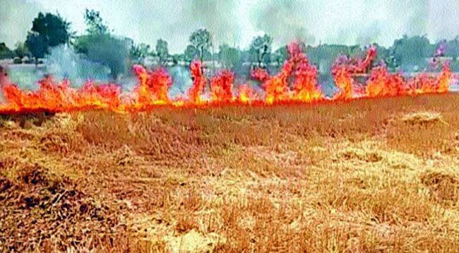 ਕਣਕ ਦੇ ਨਾੜ ਨੂੰ ਅੱਗ ਲਾਉਣ ਵਾਲਿਆਂ ਖਿਲਾਫ 10 ਐਫ.ਆਈ.ਆਰ ਦਰਜ: ਡਿਪਟੀ ਕਮਿਸ਼ਨਰ