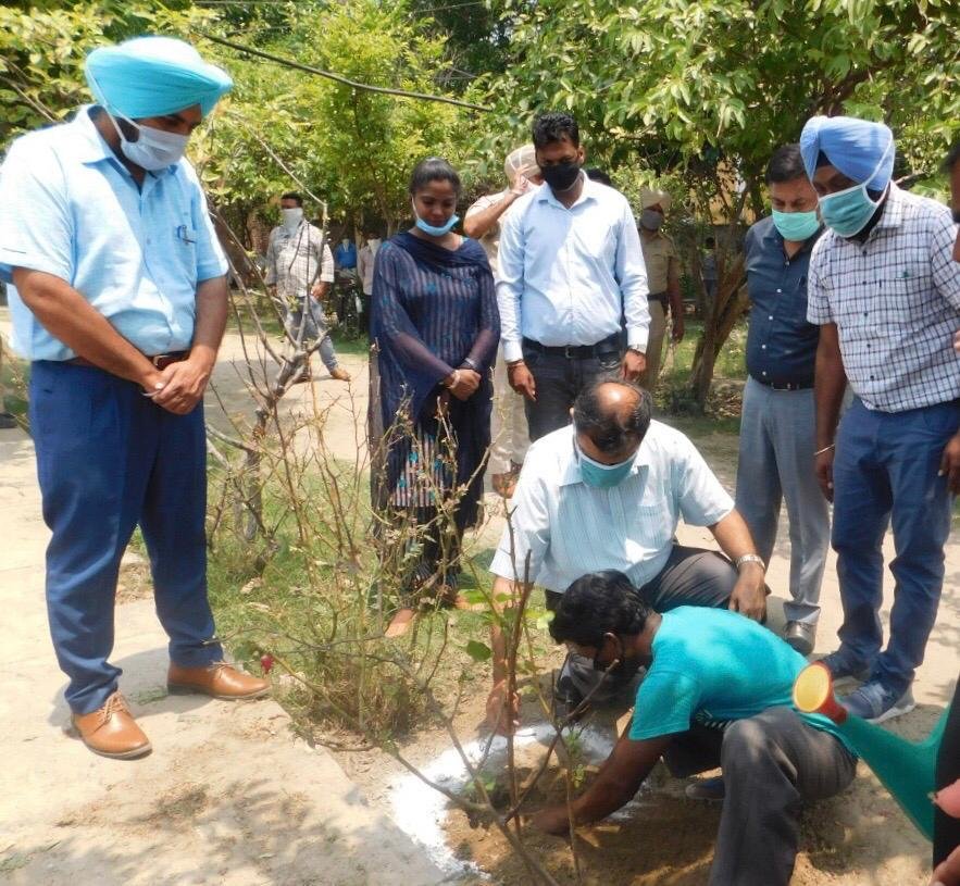 ਵਿਸ਼ਵ ਵਾਤਾਵਰਨ ਦਿਵਸ ਮੌਕੇ ਡਿਪਟੀ ਕਮਿਸ਼ਨਰ ਵੱਲੋਂ ਪੌਦਾ ਲਾ ਕੇ ਮੁਹਿੰਮ ਦਾ ਆਗਾਜ਼