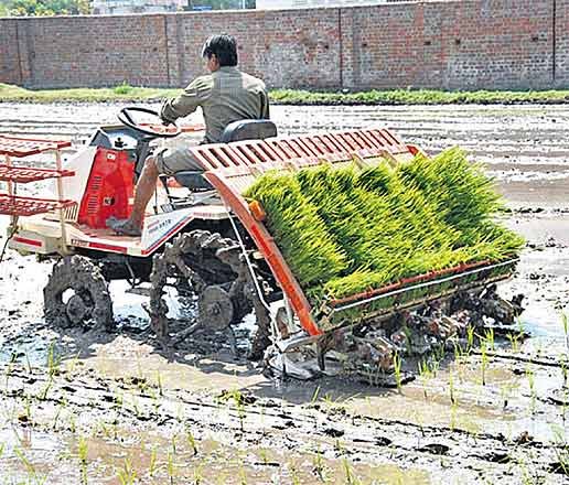 ਝੋਨੇ ਦੀ ਸਿੱਧੀ ਬਿਜਾਈ ਦੀ ਤਕਨੀਕ ਨੂੰ ਪੰਜਾਬ ਦੇ ਕਿਸਾਨਾਂ ਵੱਲੋਂ ਭਰਵਾਂ ਹੁੰਗਾਰਾ