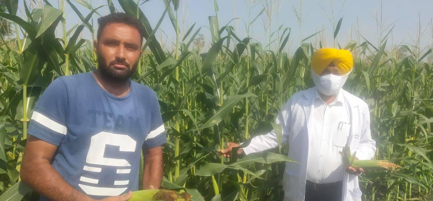 ਕੈਲੀਫੋਰਨੀਆ ਤੋਂ ਆਇਆ ਨੌਜਵਾਨ ਹੋਰਨਾਂ ਲਈ ਬਣਿਆ ਮਿਸਾਲ