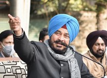 ਕੰਢੀ ਖੇਤਰ ’ਚ ਤਾਰਬੰਦੀ ਕਰਨ ਸਬੰਧੀ ਇੱਕ ਨਵੇਂ ਪ੍ਰਾਜੈਕਟ ਦੀ ਤਿਆਰੀ; ਐਗਰੋਫਾਰੈਸਟਰੀ ਸਕੀਮ ਤਹਿਤ 30 ਲੱਖ ਬੂਟੇ ਅਤੇ ‘ਘਰ-ਘਰ ਹਰਿਆਲੀ’ ਸਕੀਮ ਤਹਿਤ 15 ਲੱਖ ਬੂਟੇ ਮੁਫ਼ਤ ਵੰਡਣ ਦਾ ਟੀਚਾ : ਧਰਮਸੋਤ