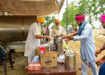Authorities use pumps to drain out water from flood-hit areas, distribute relief material in Punjab, Haryana