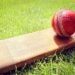 Cricket among five sports included in 2028 Olympic programme