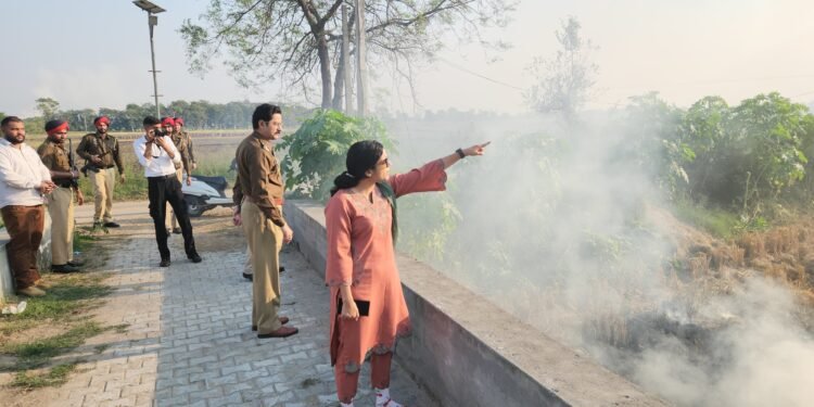 DC, SSP visit hotspots of stubble burning in Nabha