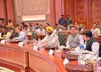 ETO seeks VGF from Union government to encourage biomass power plants producing power from stubble
