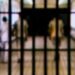 Four Indian nationals imprisoned for conspiring to steal apparel from Singapore retail store