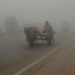 Dense fog in Punjab and Haryana