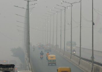 Road and air traffic affected due to fog