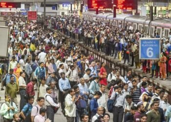 The world’s population grew by 75 million this year, the total population is expected to cross 8 billion in 2024.