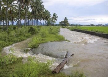 Efforts on to rescue 800 stranded passengers as Tamil Nadu battles with floods; Army pitches in