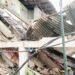 Buildings fall down in Sector 17, Chandigarh.