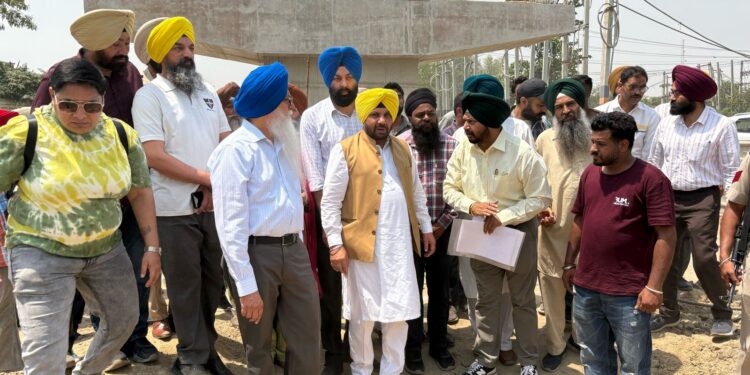 TRAVEL BETWEEN AMRITSAR-TARN TARAN WILL BECOME EASIER WITH TWO NEW BRIDGES