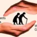 *Punjab Government Strengthens Legal Protection for Senior Citizens; Dignity, Care and Speedy Justice to Be Ensured*