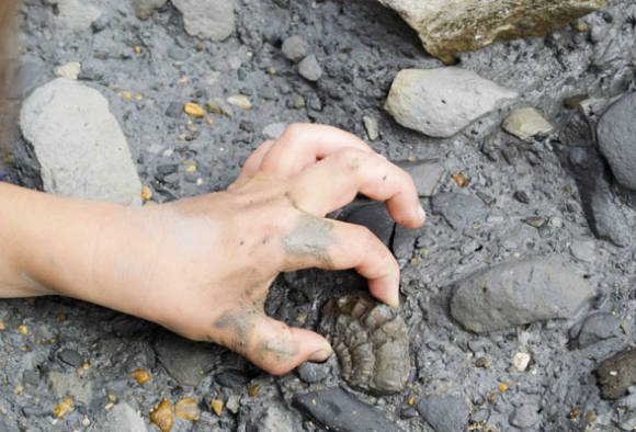 200 करोड़ साल पुराने जीवों का मिलना ‘ग्रेट ऑक्सिजनेशन इवेंट’ से भी मेल खाता है