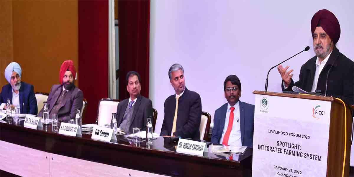 ਨੋਟਬੰਦੀ, ਜੀ.ਐਸ.ਟੀ. ਅਤੇ ਸੀ.ਏ.ਏ. ਨੇ ਸਹਾਇਕ ਖੇਤੀਬਾੜੀ ਨੂੰ ਬੁਰੀ ਤਰ•ਾਂ ਸੱਟ ਮਾਰੀ ਹੈ: ਤ੍ਰਿਪਤ ਬਾਜਵਾ