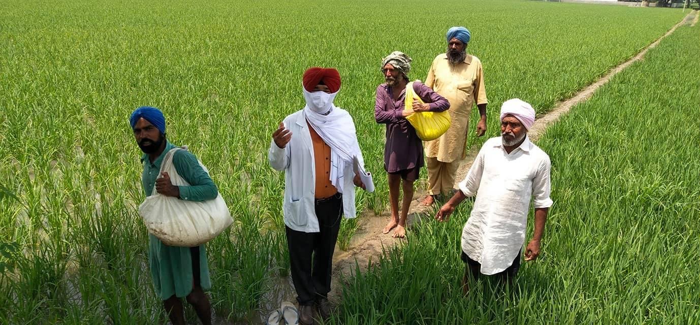 ਮੁੱਖ ਖੇਤੀਬਾੜੀ ਅਫਸਰ ਵੱਲੋਂ ਵੱਖ ਵੱਖ ਪਿੰਡਾਂ ਵਿਚ ਨਰਮੇ ਦੀ ਫਸਲ ਦਾ ਸਰਵਖੇਣ