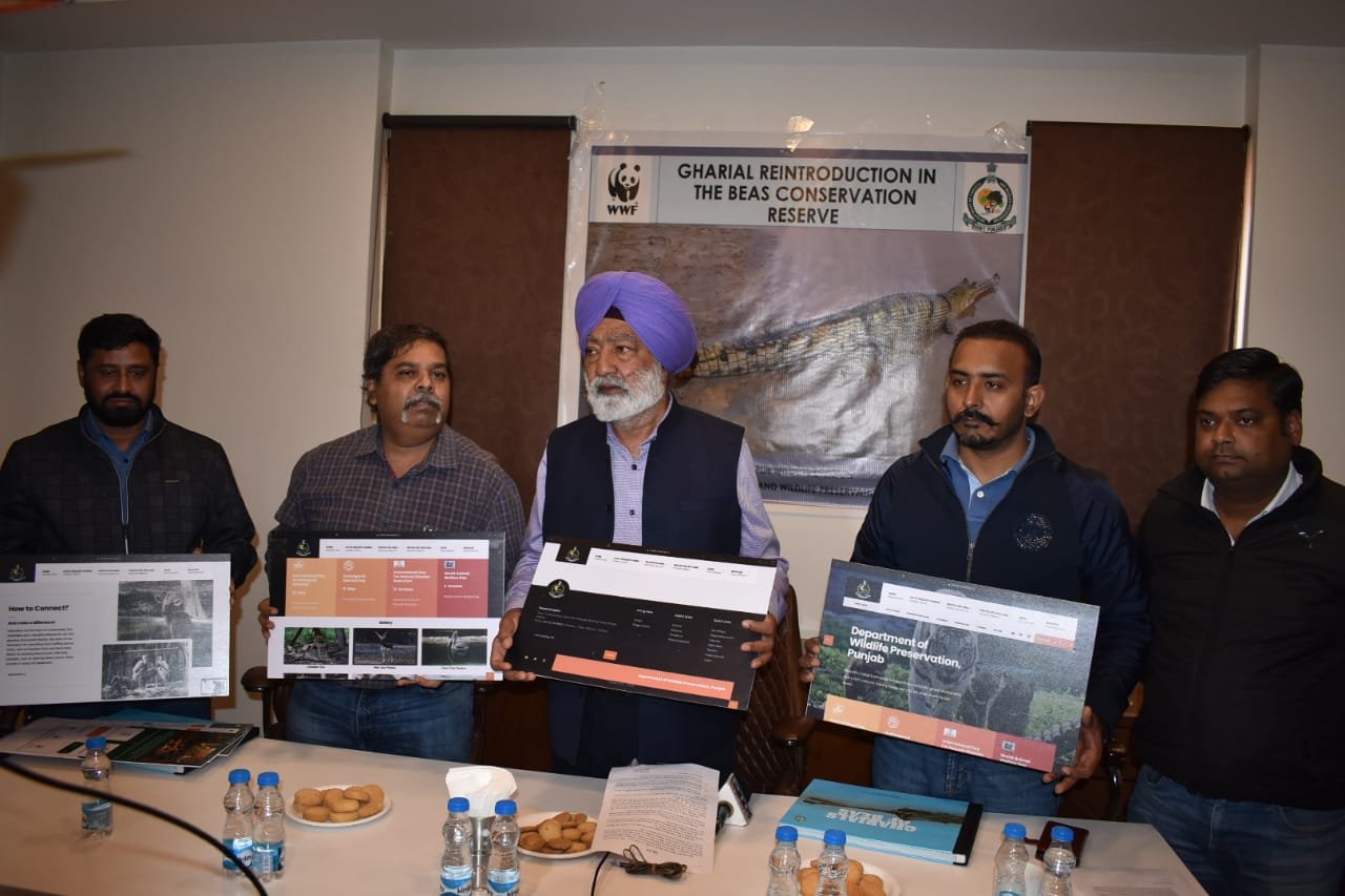 Punjab Government concerned to protect endangered Gavialis Gangeticus reptiles; Minister Gilzian