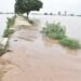 मानसा के सरदूलगढ़ में घग्गर में नयी दरार, शहर में पानी घुसने का डर