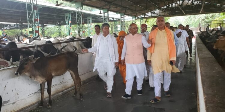 गुरुग्राम जिला में नहीं घूमेगा कोई भी बेसहारा गौवंश