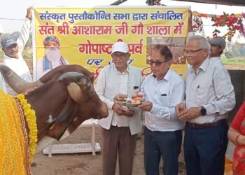 गायों की सेवा कर मनाई गोपाष्टमी