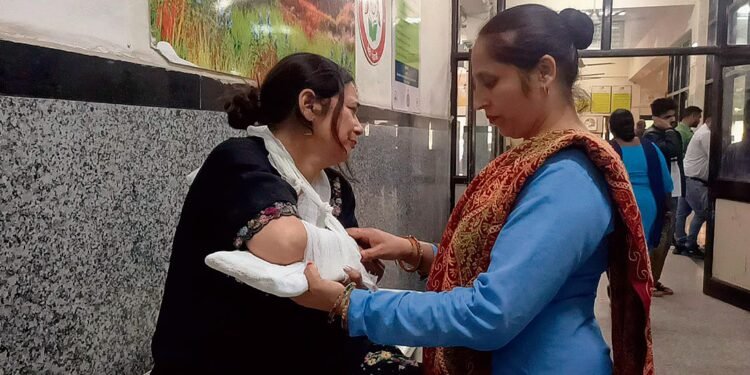मोरनी-टिक्कर ताल रोड पर स्कूल बस की ब्रेक फेल, 6 छात्र और 2 टीचर घायल