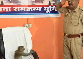 अयोध्या के एसएचओ देवेंद्र कुमार की कुर्सी पर एक बंदर बैठ गया, जो सबको हैरान कर गया