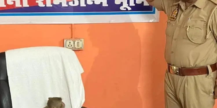 अयोध्या के एसएचओ देवेंद्र कुमार की कुर्सी पर एक बंदर बैठ गया, जो सबको हैरान कर गया