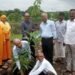लिंगा , खजरी आश्रम के आसपास जारी पौधारोपण अभियान का समापन