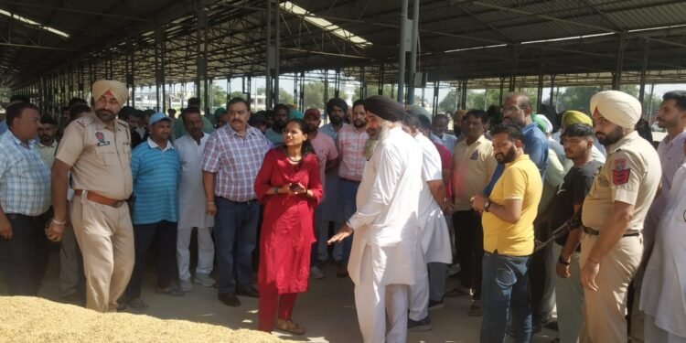 किसानों को मंडियों में किसी भी तरह की परेशानी नहीं आने दी जाएगी: डॉ. प्रीति यादव