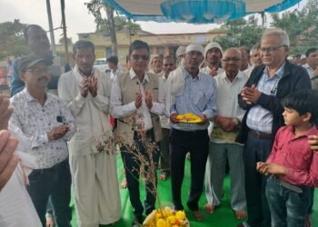 4 लाख से अधिक लोग तुलसी पूजन से लाभान्वित