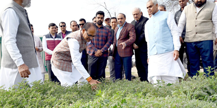 देश में प्राकृतिक खेती को बढ़ावा देने के लिए जल्द बनाई जाएगी राष्ट्रीय समिति- केंद्रीय मंत्री शिवराज सिंह चौहान