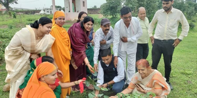 लिंगा आश्रम से पौधारोपण अभियान की शुरुआत