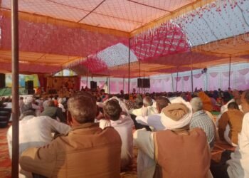 सत्याऊ माता मंदिर पर देवीभागवत कथा में उमड़ा जनसैलाब