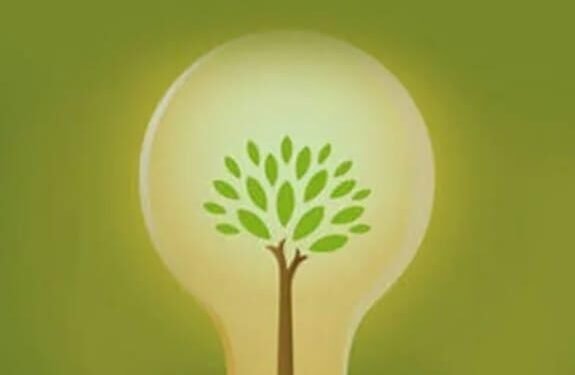 राष्ट्रीय ऊर्जा संरक्षण दिवस पर  पंजाब में पावरकॉम द्वारा बिजली बचत के प्रयास