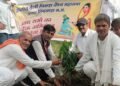 राष्ट्रीय तेली पिछड़ा वैश्य महासभा ट्रस्ट ने पौधारोपण किया