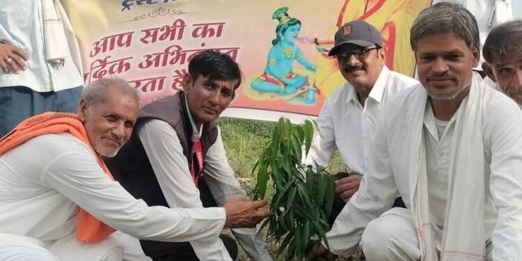 राष्ट्रीय तेली पिछड़ा वैश्य महासभा ट्रस्ट ने पौधारोपण किया