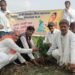 राष्ट्रीय तेली पिछड़ा वैश्य महासभा ट्रस्ट ने पौधारोपण किया