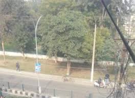 जहां विवाद हुआ वह भवन एसएसपी निवास के बिलकुल सामने है