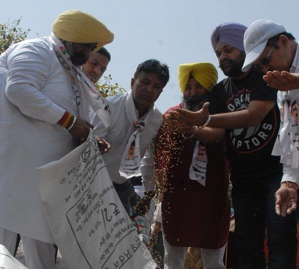 गेहूं प्रबंधों का निरीक्षण करने आए ‘आप’ नेताओं को किसानों ने नहीं दी नेतागिरी चमकाने
