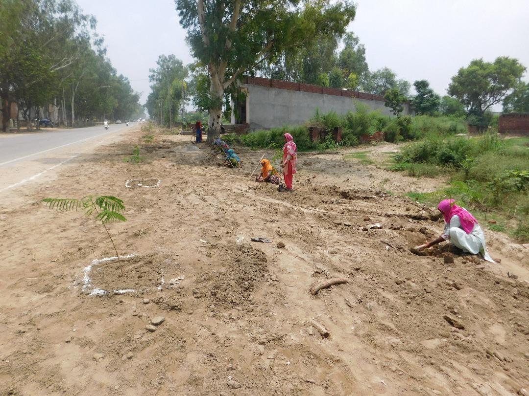 ਛਾਂ ਦਾਰ ਪੌਦਿਆਂ ਦੇ ਨਾਲ ਨਾਲ ਫ਼ਲਦਾਰ ਪੌਦੇ ਵੀ ਲਾਏ ਜਾਣਗੇ: ਡਿਪਟੀ ਕਮਿਸ਼ਨਰ