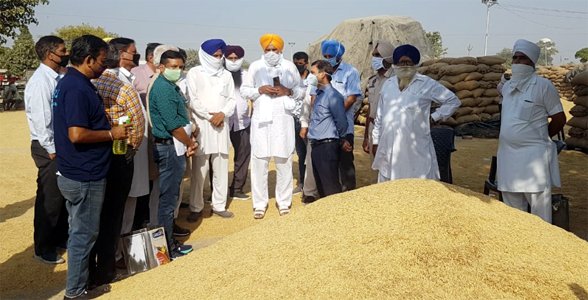 ਮੰਡੀ ਬੋਰਡ ਦੇ ਸਕੱਤਰ ਵੱਲੋਂ ਪਟਿਆਲਾ, ਫਤਿਹਗੜ ਸਾਹਿਬ ਅਤੇ ਮੁਹਾਲੀ ਜ਼ਿਲਿਆਂ ਦੀਆਂ ਮੰਡੀਆਂ ਦਾ ਦੌਰਾ