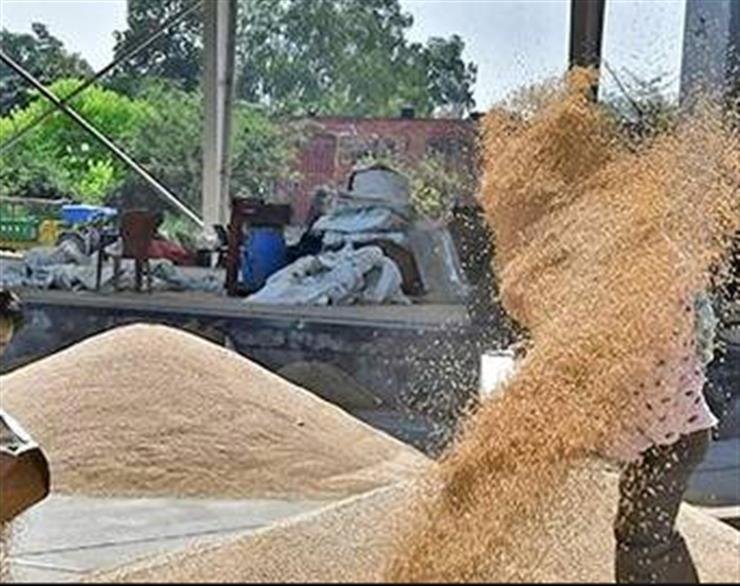 PUNJAB PUTS OFF PROCUREMENT TO APRIL 10 IN VIEW OF COVID SPIKE