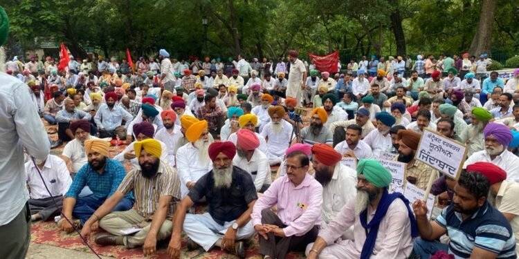 ਪੀ.ਐਸ.ਈ.ਬੀ. ਇੰਪਲਾਈਜ਼ ਜੁਆਇੰਟ ਫੋਰਮ ਦੇ ਸੱਦੇ ਬਿਜਲੀ ਕਾਮਿਆਂ ਨੇ ਮੁੱਖ ਦਫਤਰ ਦੇ ਗੇਟਾਂ ਤੇ ਜੋਰਦਾਰ ਰੋਸ ਪ੍ਰਦਰਸ਼ਨ ਕੀਤਾ, ਸੰਘਰਸ਼ ਜਾਰੀ ਰੱਖਣਗੇ ਬਿਜਲੀ ਕਾਮੇ।