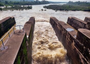 ਪੌਂਗ ਡੈਮ ’ਚ ਪਾਣੀ ਖ਼ਤਰੇ ਦੇ ਨਿਸ਼ਾਨ ਤੋਂ ਪਾਰ