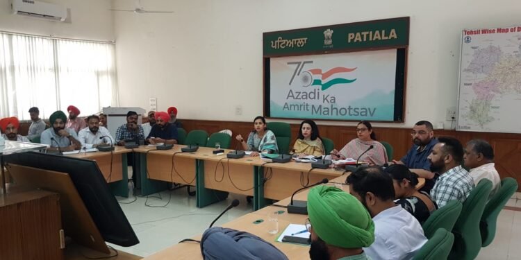 ਡਿਪਟੀ ਕਮਿਸ਼ਨਰ ਵੱਲੋਂ ਪਿੰਡਾਂ ‘ਚ ਚੱਲ ਰਹੇ ਵਿਕਾਸ ਕਾਰਜਾਂ ਦਾ ਜਾਇਜ਼ਾ